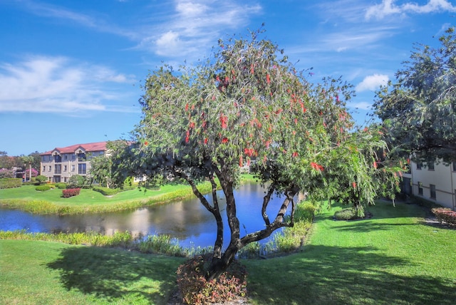 water view