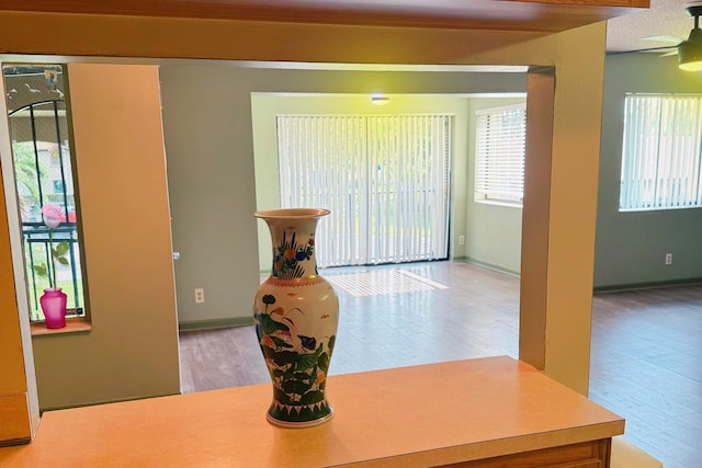 interior space featuring light wood-type flooring and ceiling fan