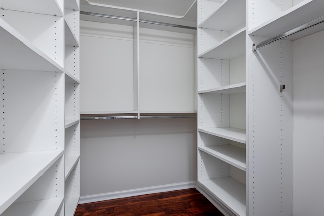 spacious closet with dark hardwood / wood-style floors