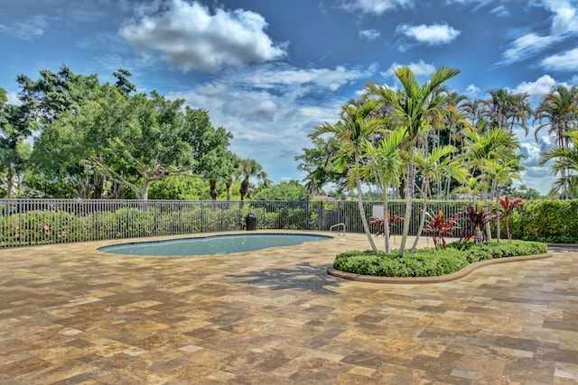 view of swimming pool featuring a patio area