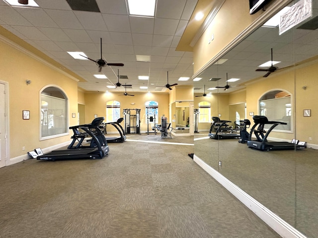 exercise room featuring a paneled ceiling, ceiling fan, carpet flooring, and crown molding