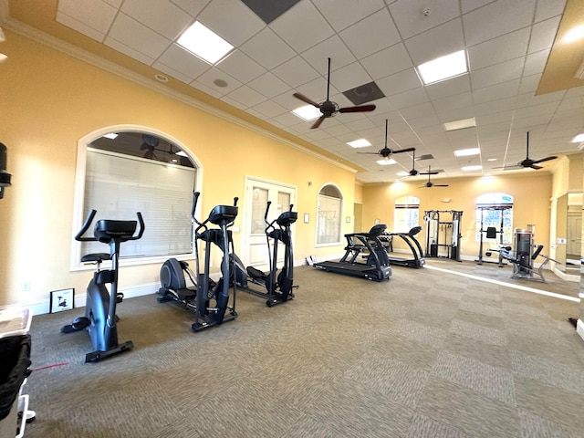 exercise room with ceiling fan, a drop ceiling, and ornamental molding