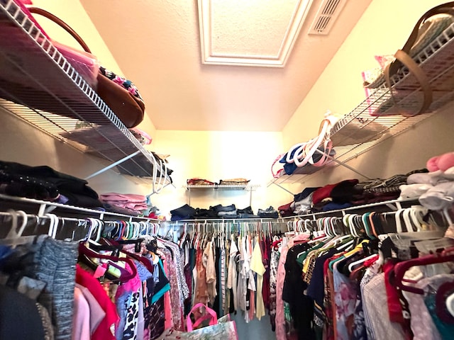 view of spacious closet