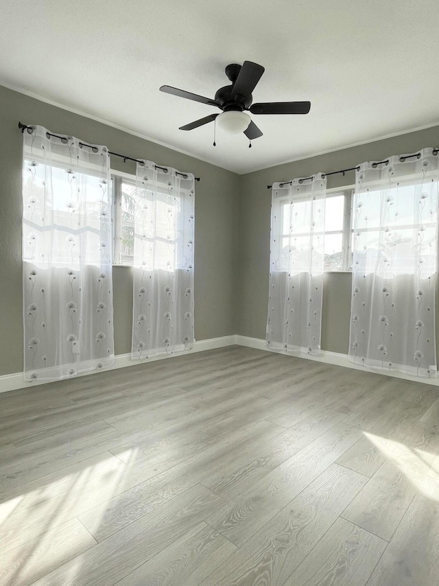 unfurnished room with a wealth of natural light, light hardwood / wood-style flooring, and ceiling fan