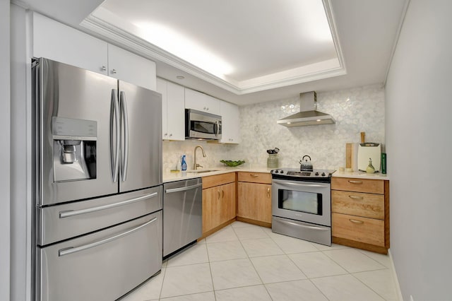 kitchen featuring wall chimney range hood, sink, a tray ceiling, white cabinetry, and stainless steel appliances