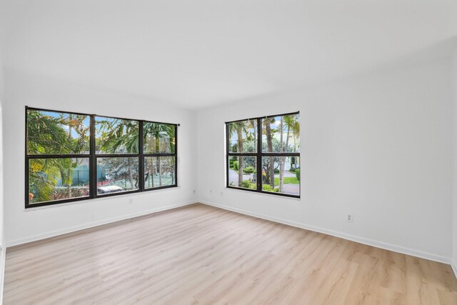 empty room featuring light hardwood / wood-style floors and plenty of natural light