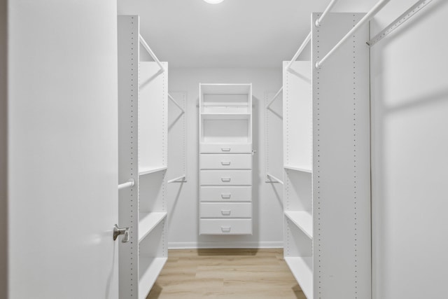 walk in closet featuring wood finished floors