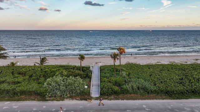 water view featuring a beach view