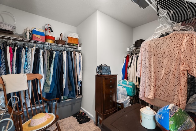 spacious closet with carpet