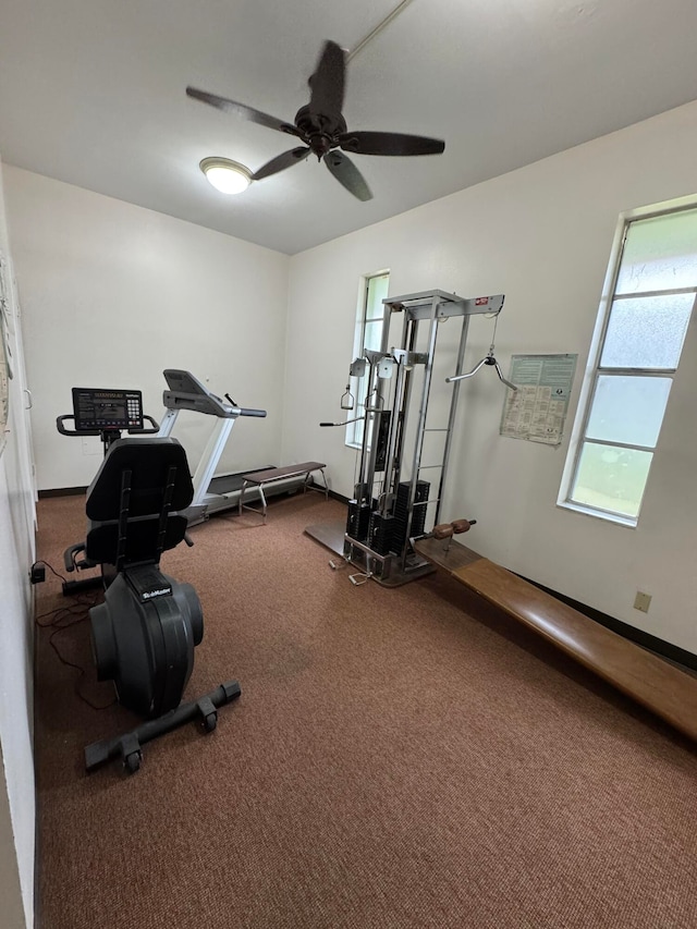 workout area featuring carpet flooring and ceiling fan