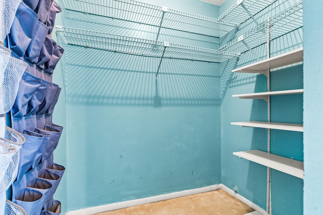 spacious closet with carpet