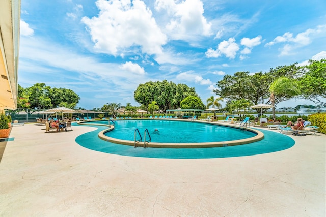 view of swimming pool featuring a patio