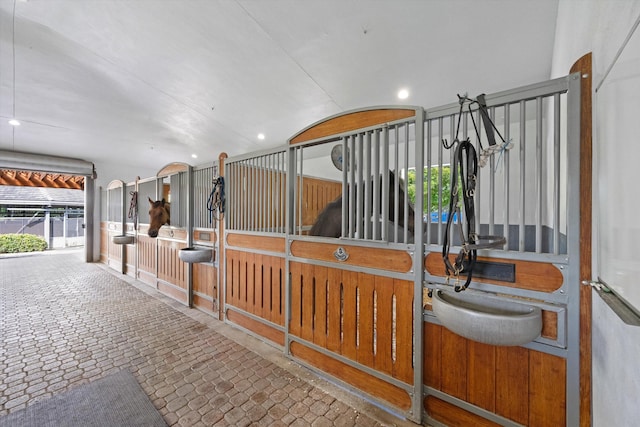 view of stable