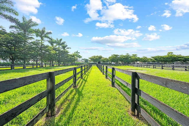 view of yard with a rural view