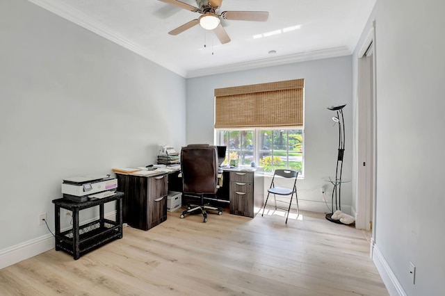 home office with ornamental molding, light hardwood / wood-style flooring, and ceiling fan