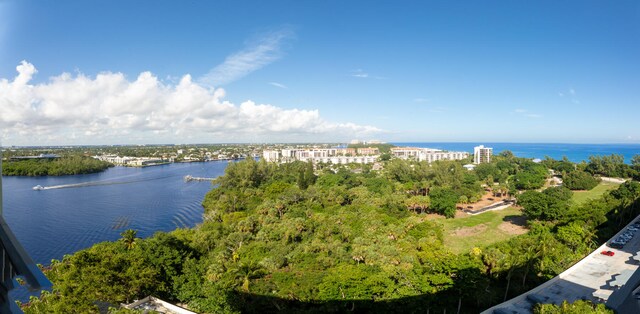 drone / aerial view with a water view