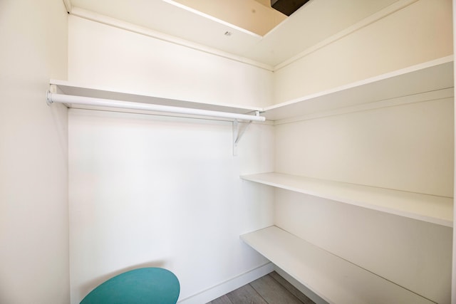 spacious closet featuring wood finished floors