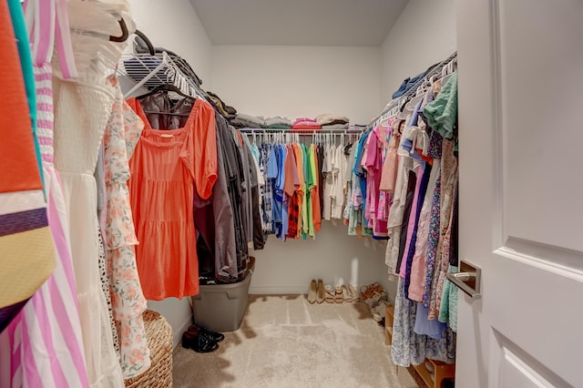 walk in closet featuring carpet floors