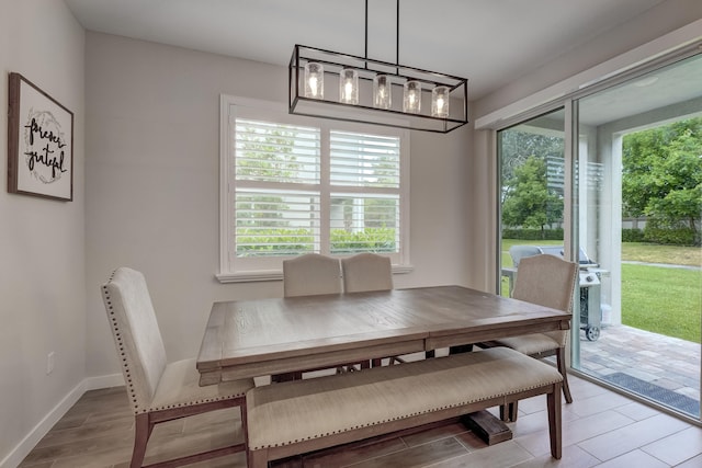 dining room with wood-type flooring