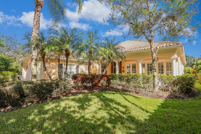 rear view of property with a yard