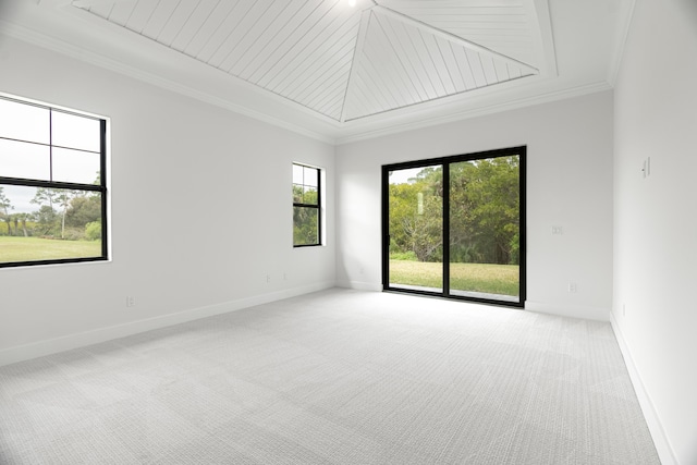 unfurnished room featuring carpet flooring and ornamental molding