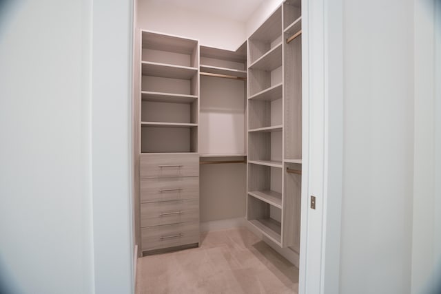 walk in closet featuring light carpet