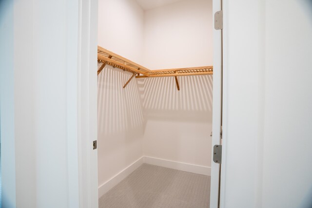 spacious closet featuring light carpet