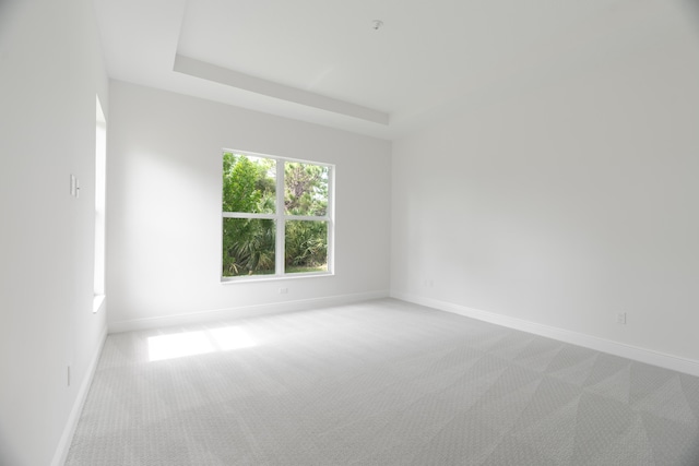 empty room with light colored carpet and a tray ceiling