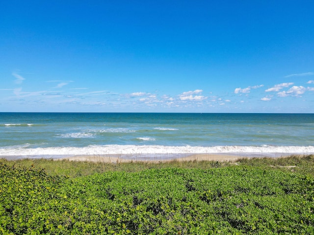 water view with a view of the beach