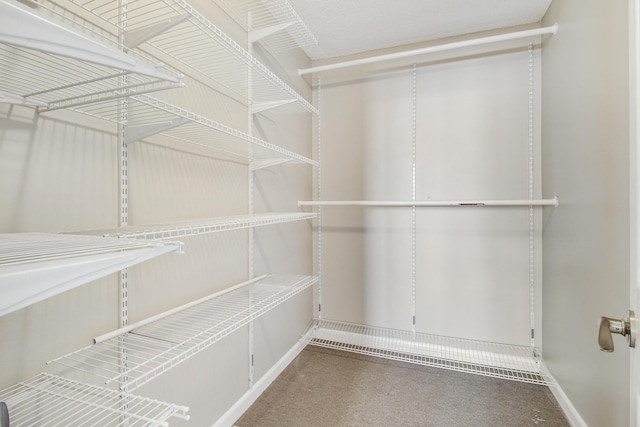 spacious closet with carpet floors