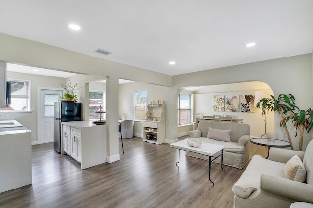 living room featuring dark wood-type flooring, a healthy amount of sunlight, and sink