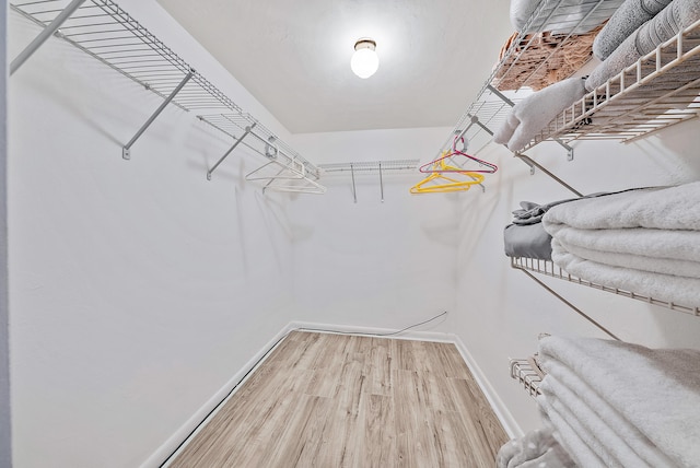 spacious closet featuring wood-type flooring