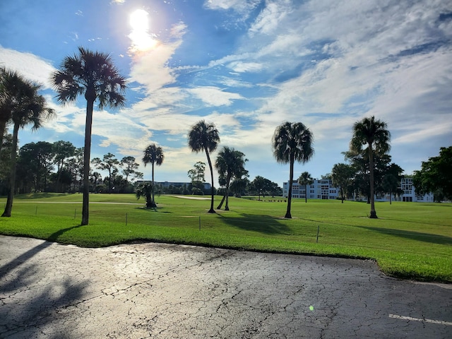 view of home's community with a lawn