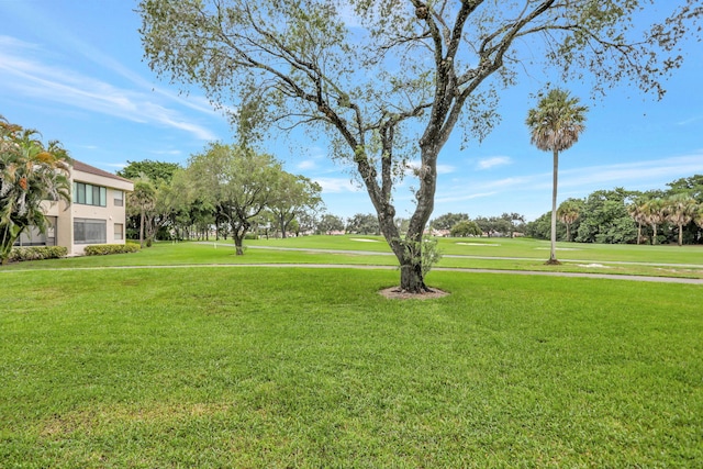 view of community with a yard