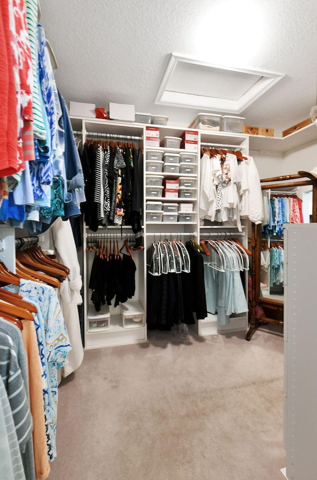 walk in closet with carpet floors