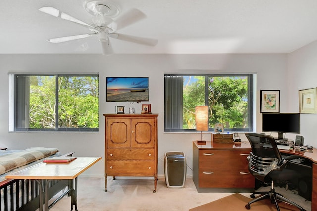 carpeted office space with ceiling fan