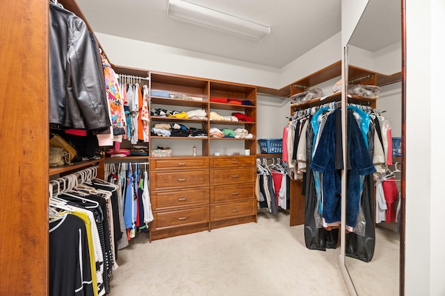 spacious closet featuring light colored carpet