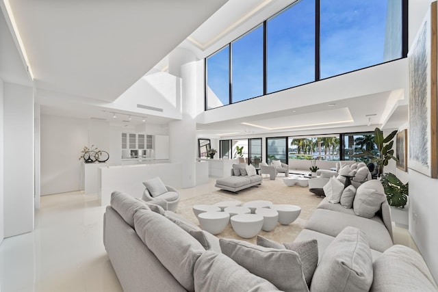 living room featuring a raised ceiling and a towering ceiling