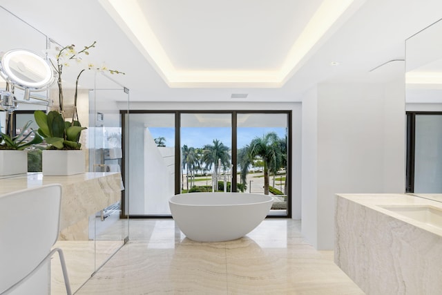 bathroom with separate shower and tub and a raised ceiling