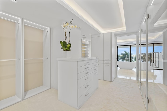 spacious closet featuring light colored carpet