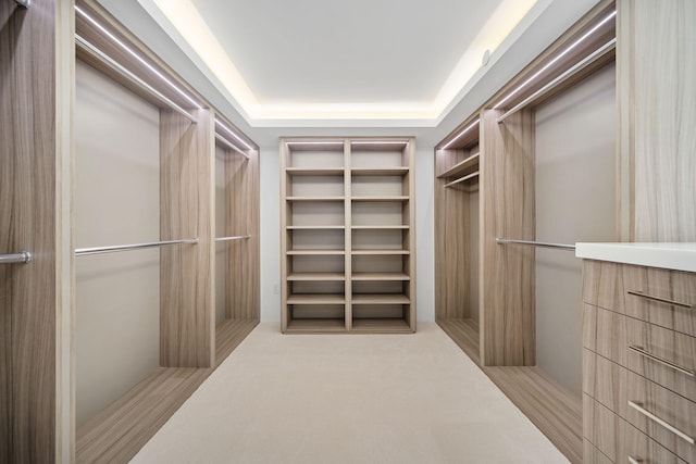 spacious closet featuring a raised ceiling