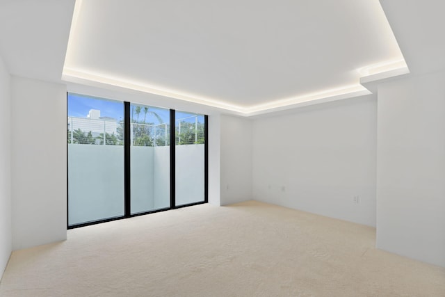 carpeted spare room with a tray ceiling