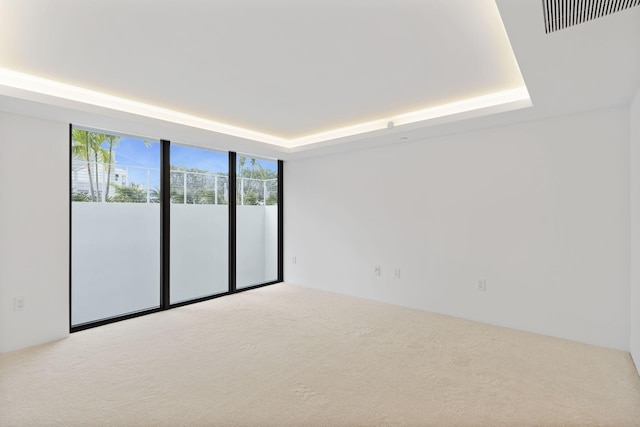 unfurnished room with carpet flooring and a tray ceiling