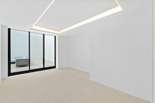 unfurnished room with expansive windows, light colored carpet, and a raised ceiling