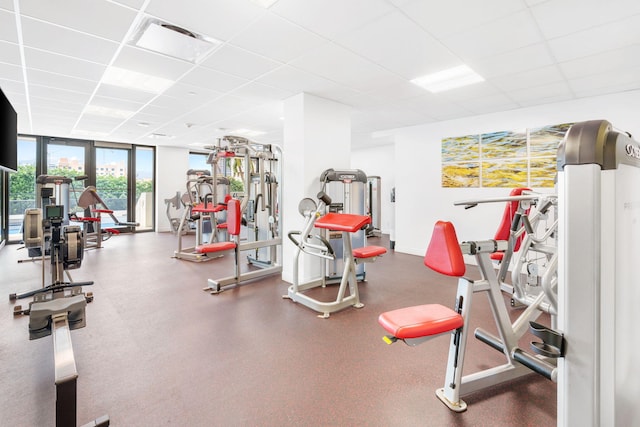 workout area with expansive windows and a paneled ceiling