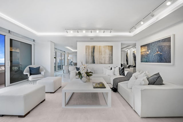 living room featuring track lighting and a raised ceiling