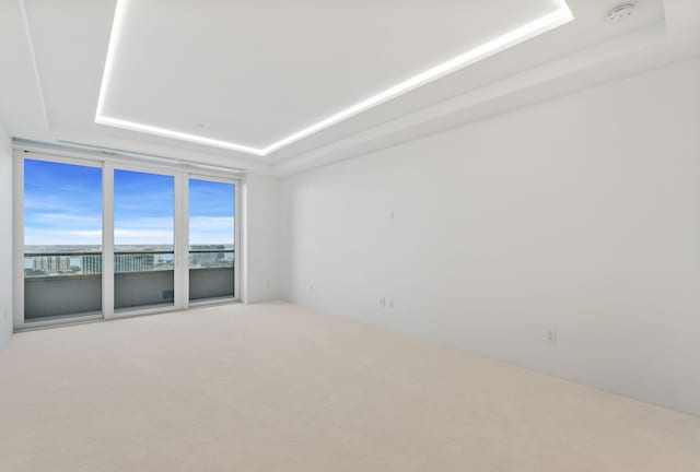 carpeted spare room featuring a raised ceiling