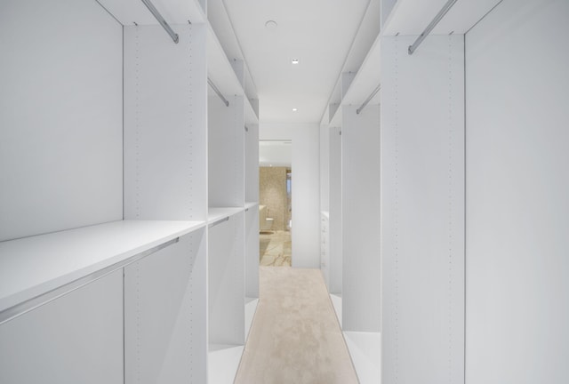 view of walk in closet