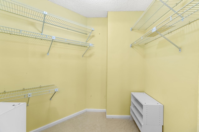 walk in closet with light colored carpet