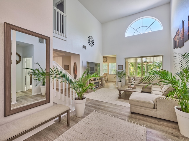 living room featuring hardwood / wood-style flooring, a wealth of natural light, and a high ceiling